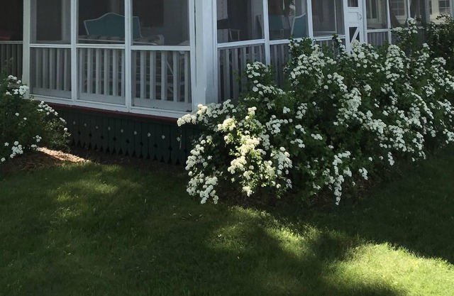 Historic Summer Home on Beautiful Lake Maxinkuckee East Shore