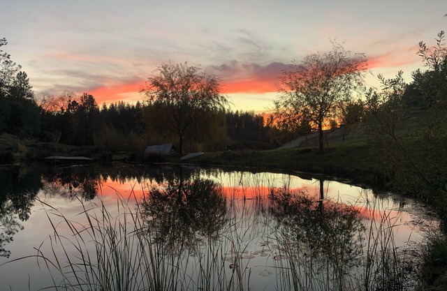 Historical 2 story private 3 bedrooms ranch cabin in Colfax on 14 acres