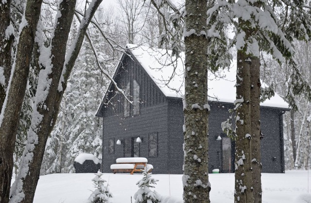 Hodag House | Magical Cabin & Creature Comforts