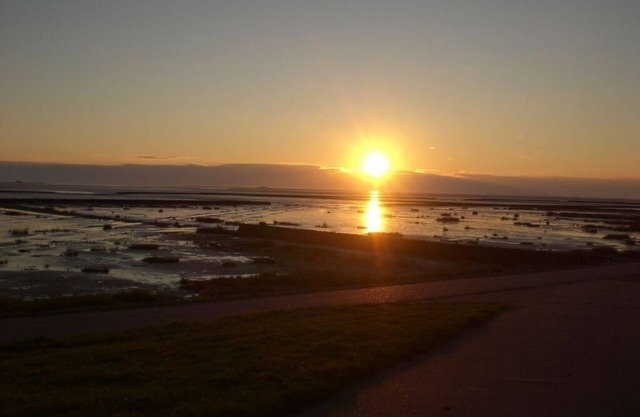 Holiday apartment Oystercatcher