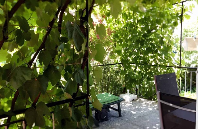 Holiday apartment with terrace and garden