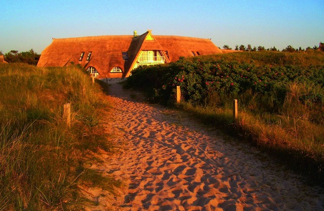 Holiday home for 6 guests with 100m² in Dierhagen (126975)