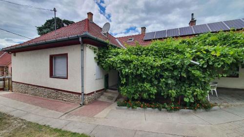 Holiday home in Siofok - Balaton 43122