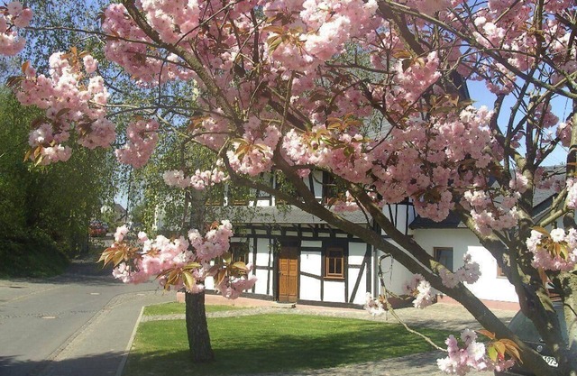 Holiday house Beltheim for 1 - 8 persons with 4 bedrooms - Holiday house