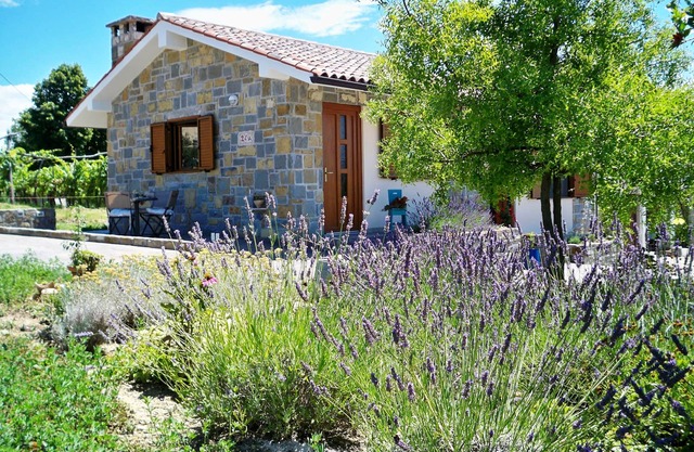 Holiday House Ida Tipical Istrian stone house
