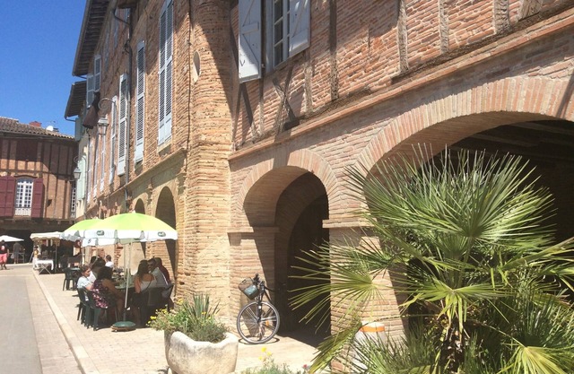 Holiday house with pool close Toulouse and Albi - 4* - pet friendly