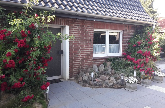 Holiday house with terrace; ideal for nature lovers, cyclists and anglers!