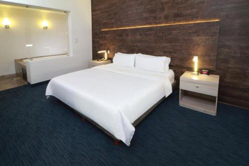 Holiday Inn Express San Luis Potosí by IHG