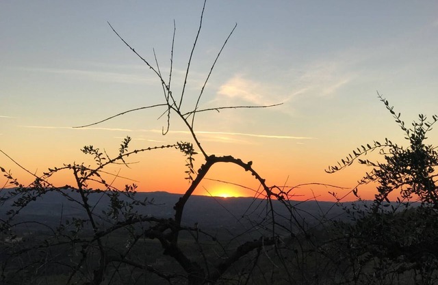 Holidays In The Heart Of Chianti