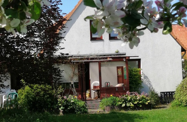 Holiday with children and dogs, for fitters