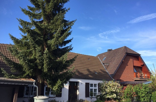 holidays directly at the harbour of the old fishing village but quiet located