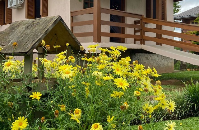 Holidays in Gramado, a very peaceful place!