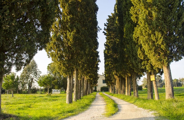 Holidays in Tuscany with family