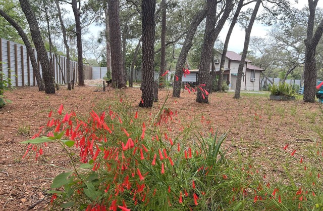 Home in shaded natural FL fauna with birds galore!