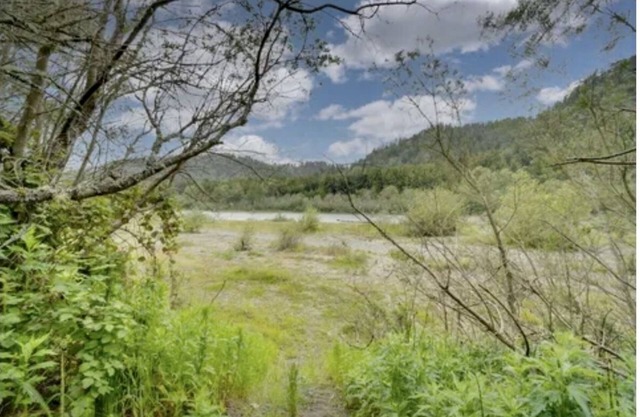 Home with Giant Redwood’s on the Eel River (w/river access)