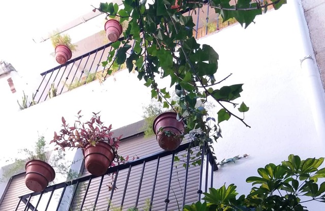 Homerez - Big house for 12 ppl. with balcony at Quesada