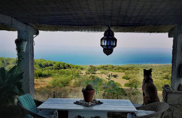 Homerez - Charming House in El Chaparral, sea view