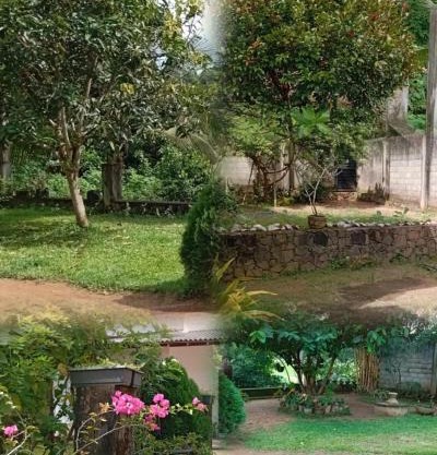 Homestay in Naturals Village