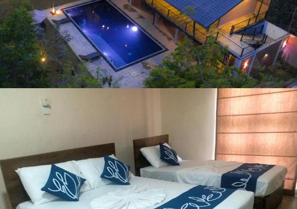 Honey Tree Polonnaruwa