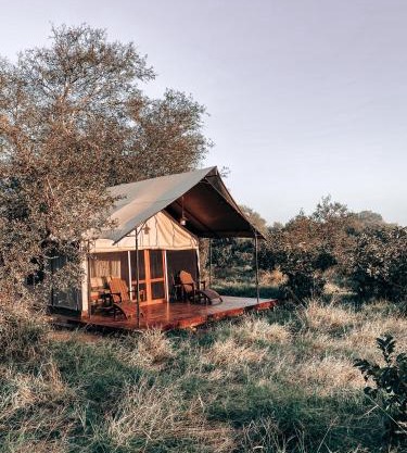 Honeyguide Tented Safari Camp - Khoka Moya