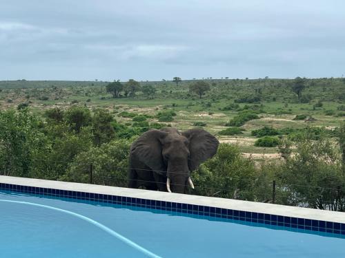 Horizons River Lodge Mjejane