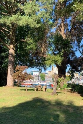 Hospedaje en borde río