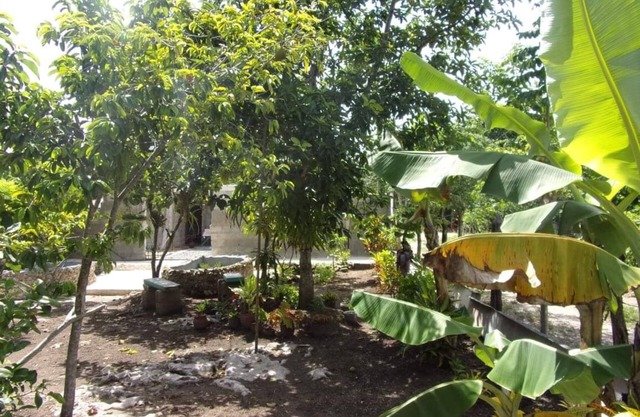 Hostal Casa Cocodrilo