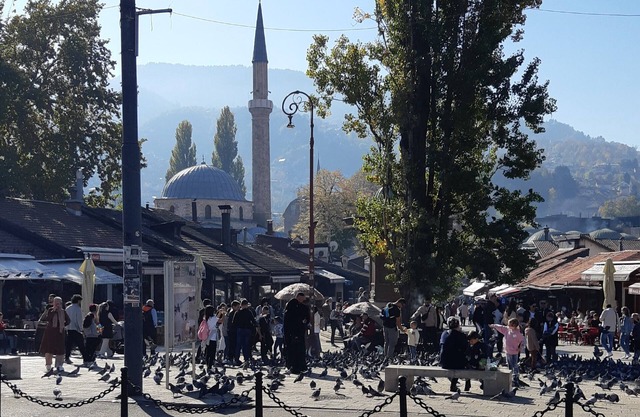 Hostel 100 m from Sebilj fountain !
