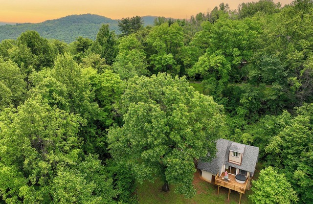 Hot tub, Firepit, Forest Views!