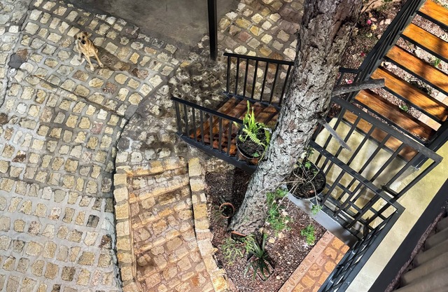 Hotel Aoki valle de ángeles