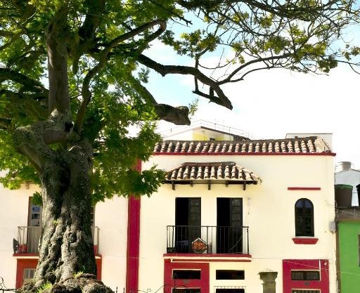 Hotel Aroma del Bosque Posada Cafe