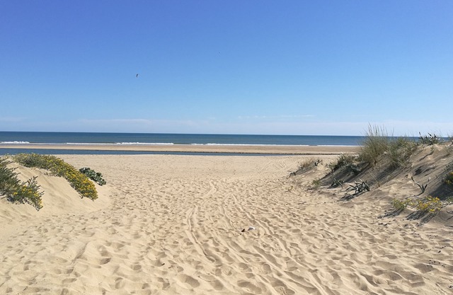 Hotel Ayamonte Center