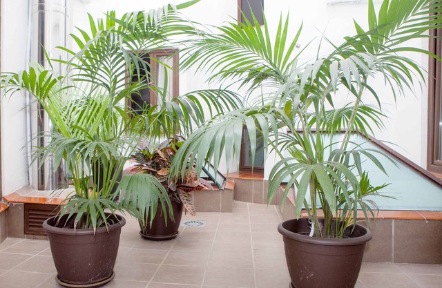 Hotel Castilla Guerrero