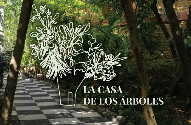 Hotel La Casa de los Árboles Immersive Experience