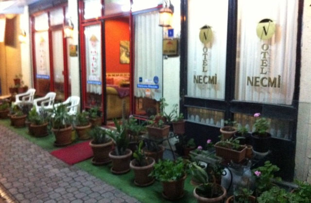 Hotel Necmi