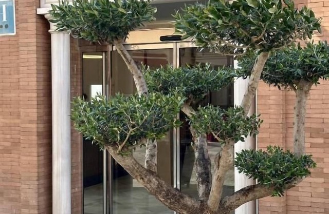 Hotel Nova Roma