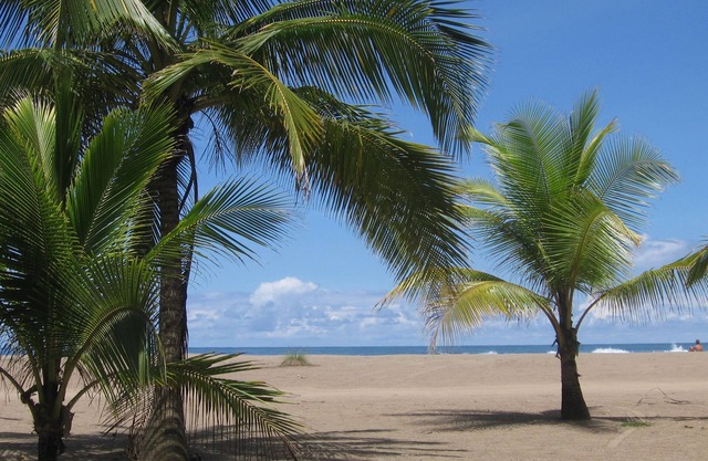 Hotel Pochote Grande