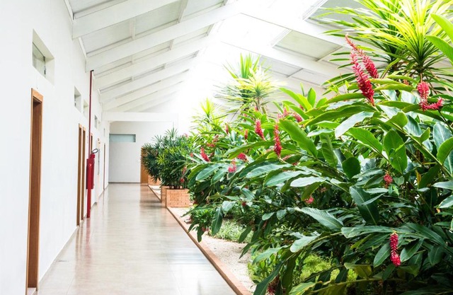 Hotel Vila Verde