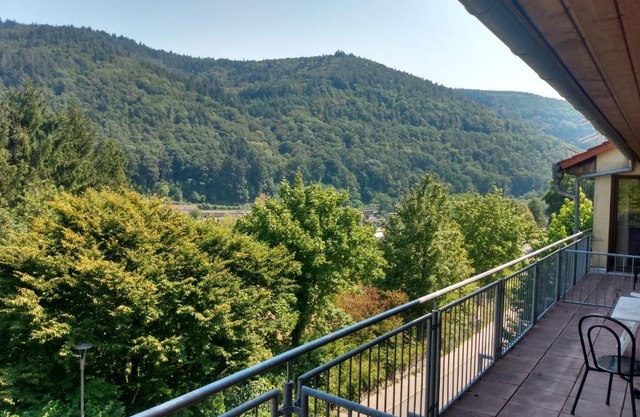 Hotel zum Neckartal Heidelberg