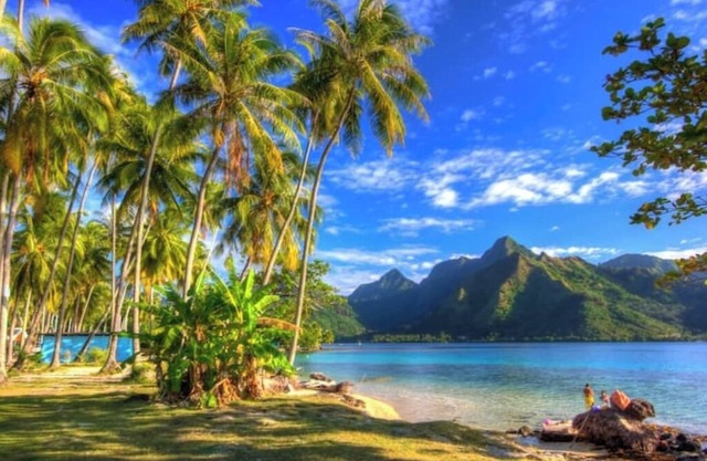HOTU LODGE – Between Turquoise Lagoon and Lush Nature