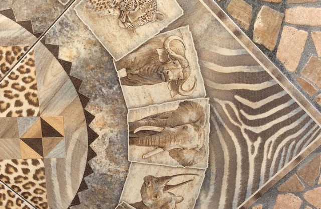 House in Durbanville Sonstraal Hights; is wine lands .25 km from Cape Town .