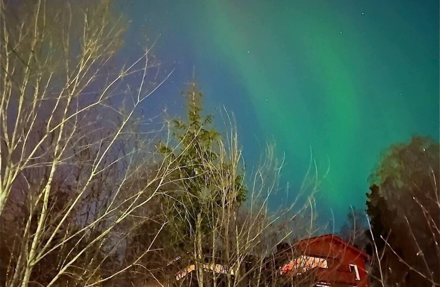 House on Holmenkollen with sea views Guest favorite + 4,87 score on Airbnbnn