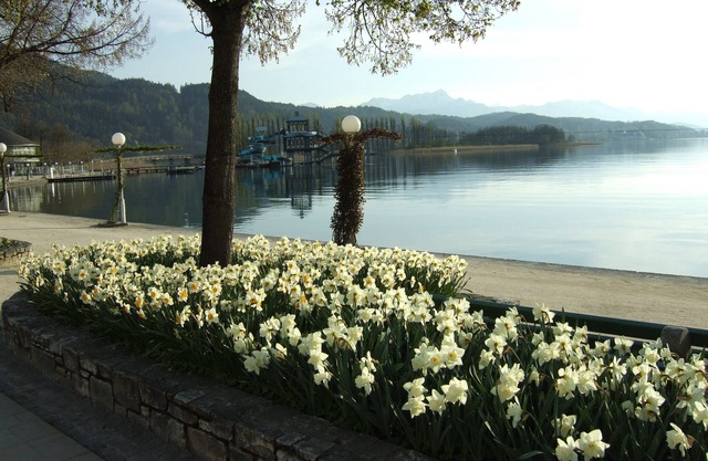 House quiet and sunny position, 1.5 km from the Wörthersee