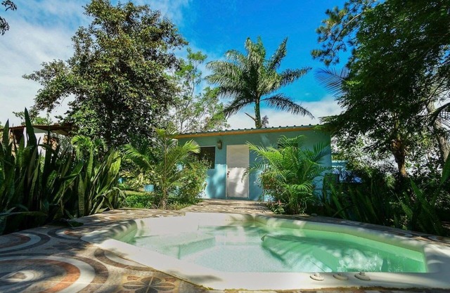 House under palm trees (pool and whirlpool included)