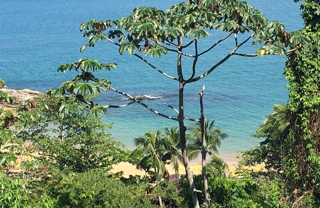 House with 2 suites with wonderful sea view at 80 mt. from Curral beach.