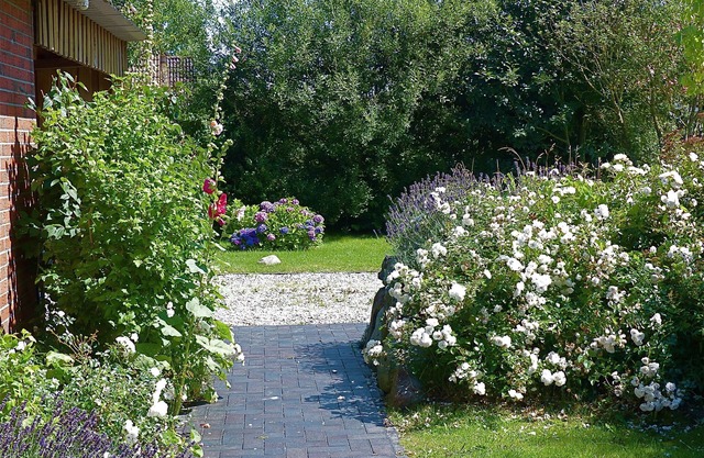 House with garden just 10 minutes walk from the sea/WiFi/Vollerwiek