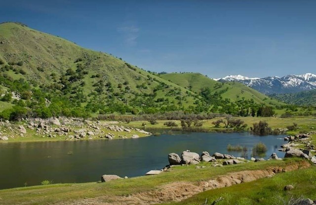 Humble Cabin in Sequoia Park with crazy stars