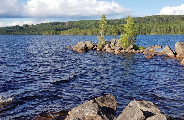 Hus Klarälven on river Klarälven with office for business, pet friendly