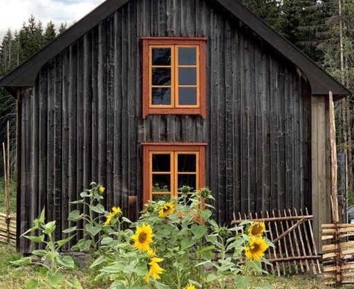 Husmannsplassen Havrebakken på Helgøya
