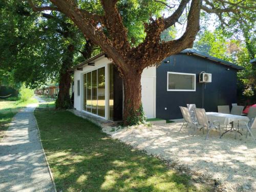 IBF apartment